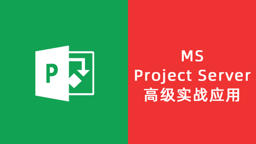 MS Project Server高级实战应用